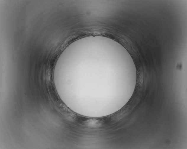 X0000112790326200908210945