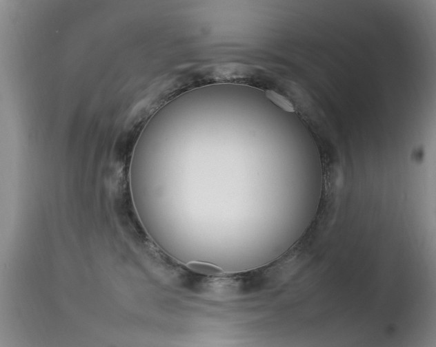 X0000112790327200908210945