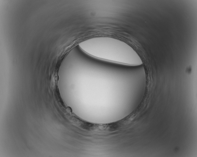 X0000112790329200908210945