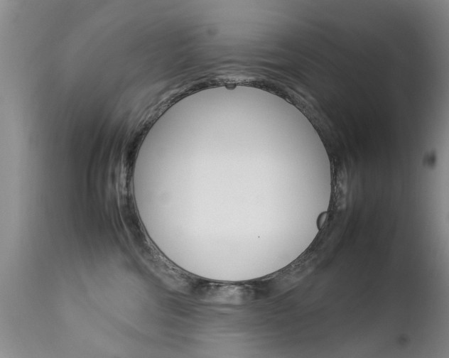 X0000112790330200908210945