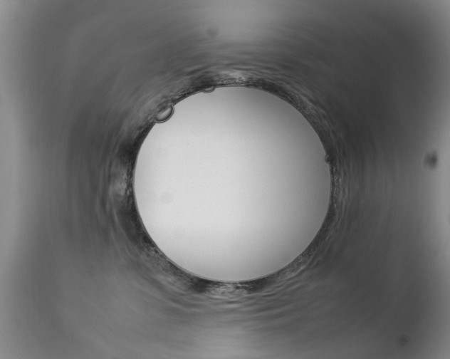 X0000112790331200908210945