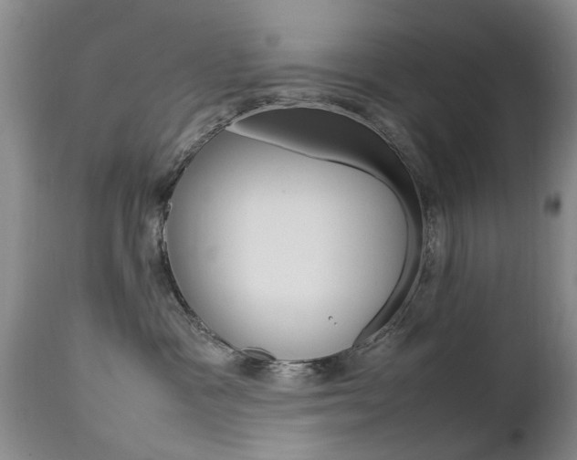 X0000112790333200908210945