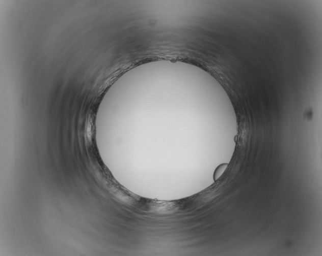 X0000112790334200908210945