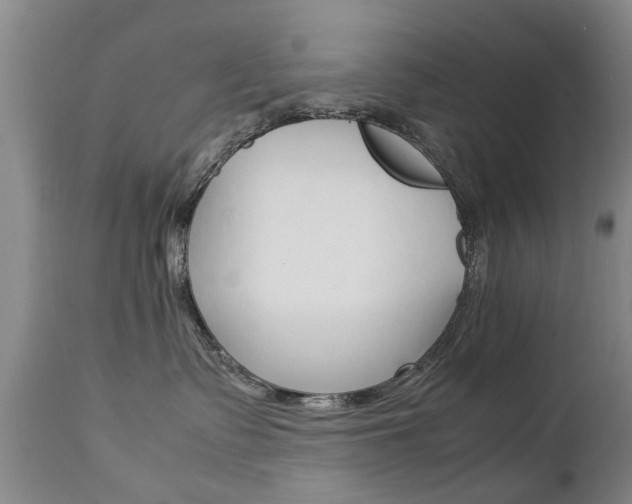 X0000112790335200908210945