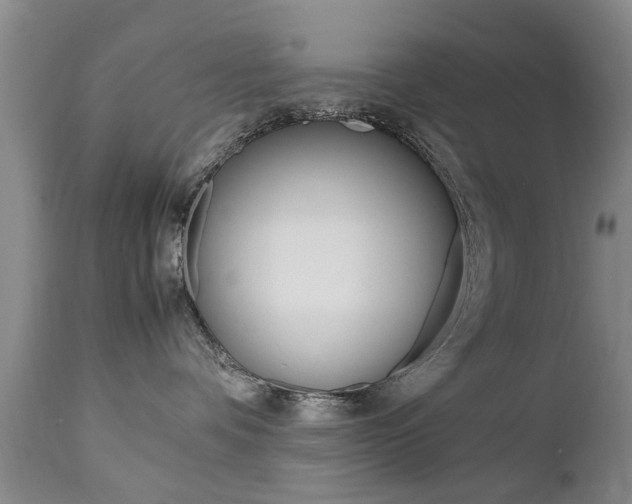 X0000112790336200908210945