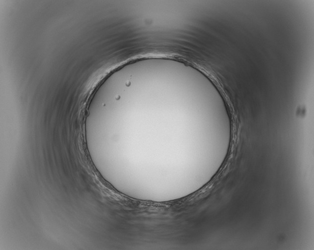 X0000112790337200908210944