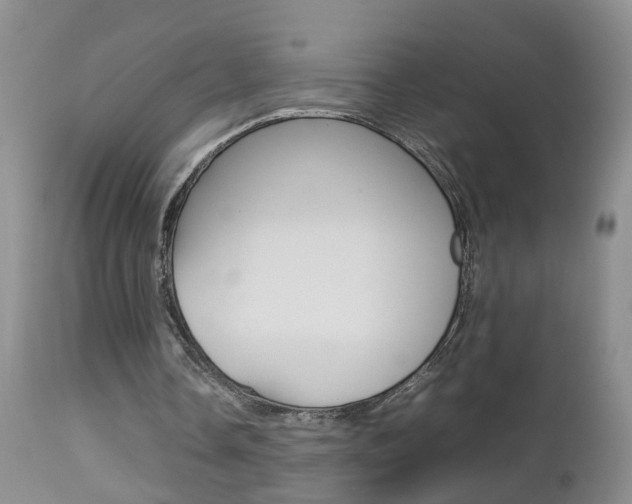 X0000112790338200908210944
