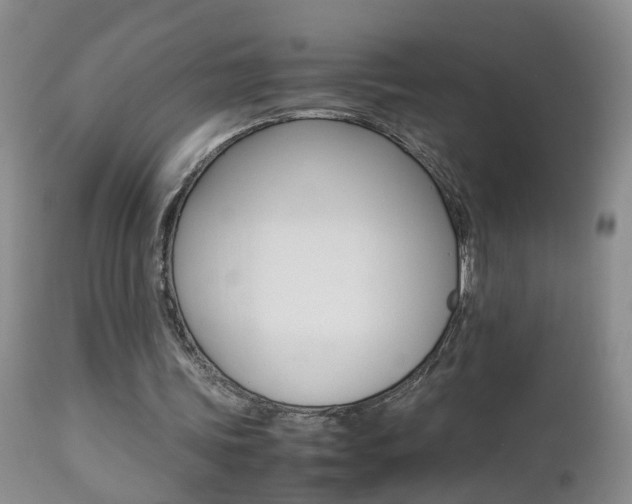 X0000112790339200908210944