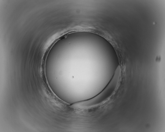 X0000112790340200908210944