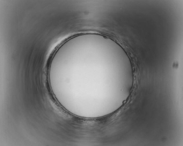 X0000112790342200908210944