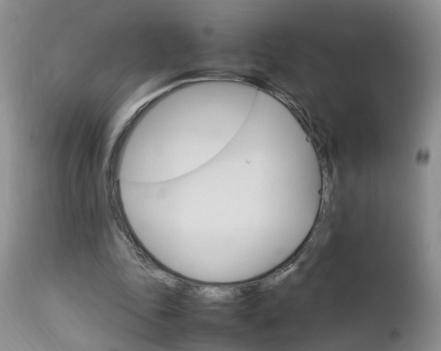 X0000112790343200908210944