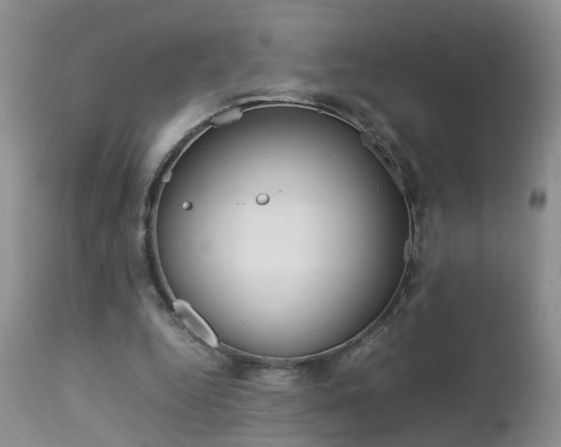 X0000112790344200908210944