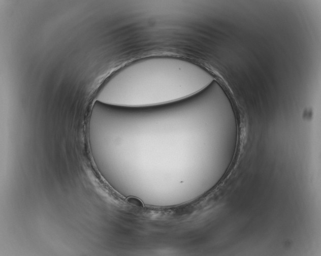 X0000112790345200908210944