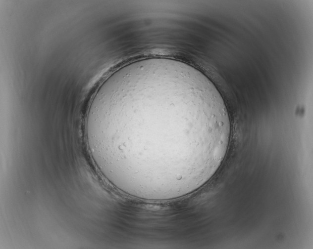 X0000112790347200908210944