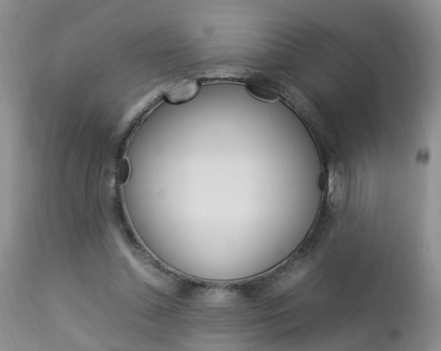 X0000112790348200908210944