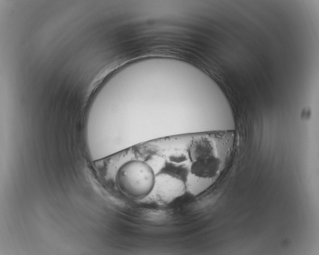 X0000112790349200908210944