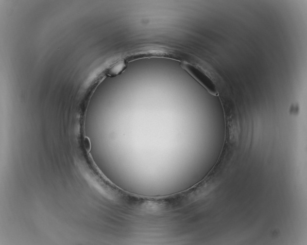 X0000112790350200908210944