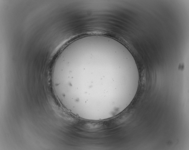X0000112790351200908210944