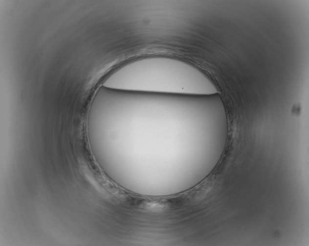 X0000112790352200908210944