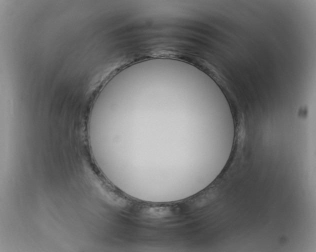 X0000112790353200908210944