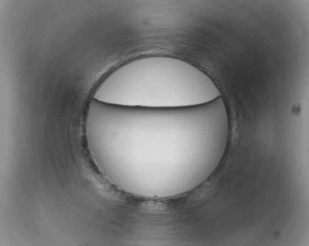 X0000112790354200908210944