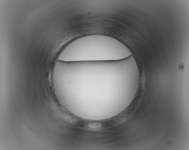 X0000112790355200908210944