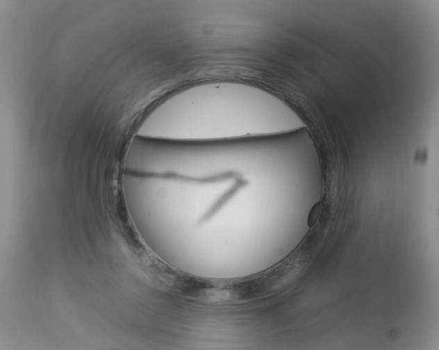 X0000112790356200908210944