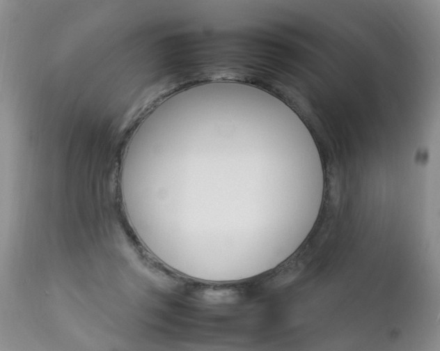 X0000112790357200908210944