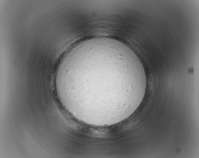 X0000112790359200908210944