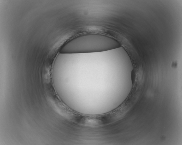 X0000112790360200908210944