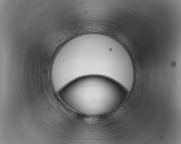 X0000112790362200908210944