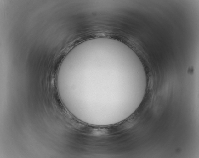X0000112790363200908210944