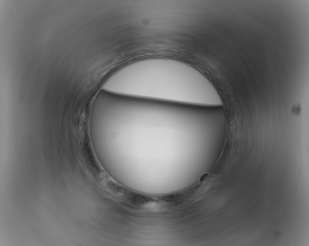 X0000112790364200908210944