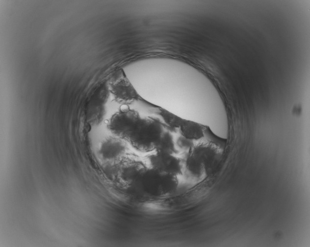 X0000112790365200908210944