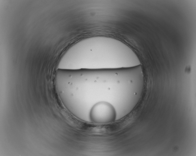 X0000112790366200908210944