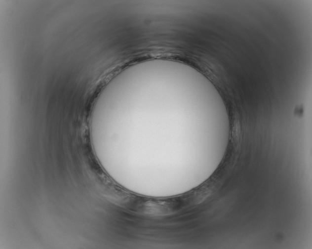 X0000112790367200908210944