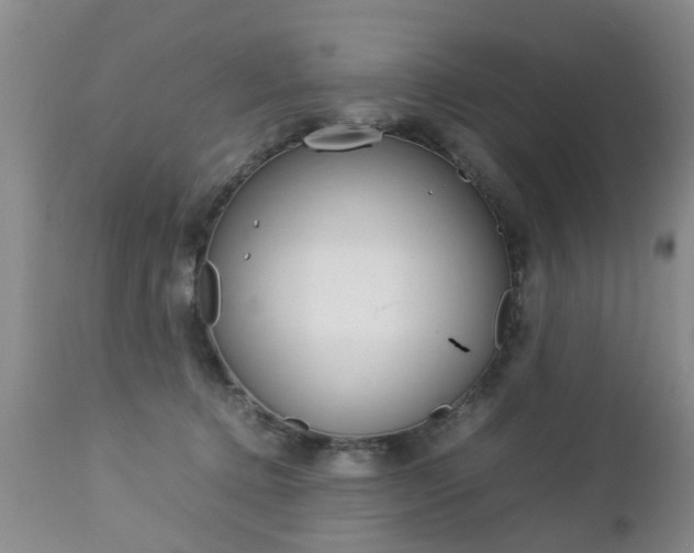 X0000112790368200908210944