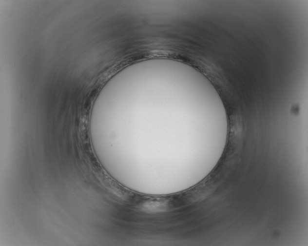 X0000112790369200908210944