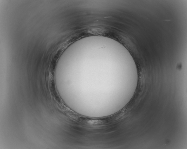X0000112790371200908210944
