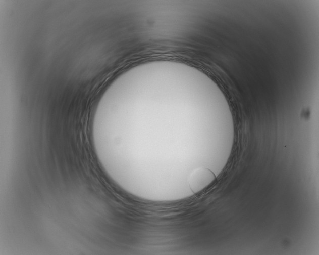 X0000112790372200908210945