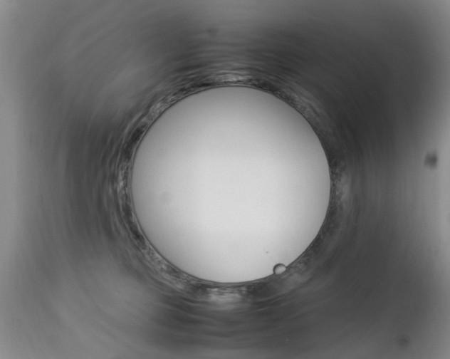 X0000112790373200908210945
