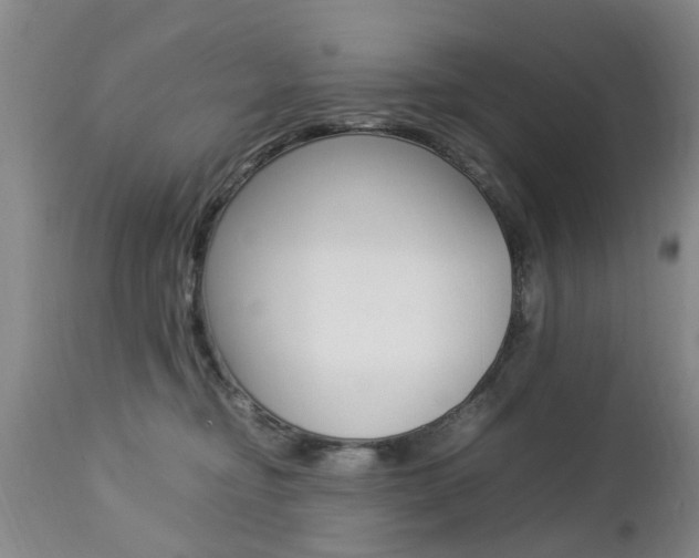 X0000112790374200908210945