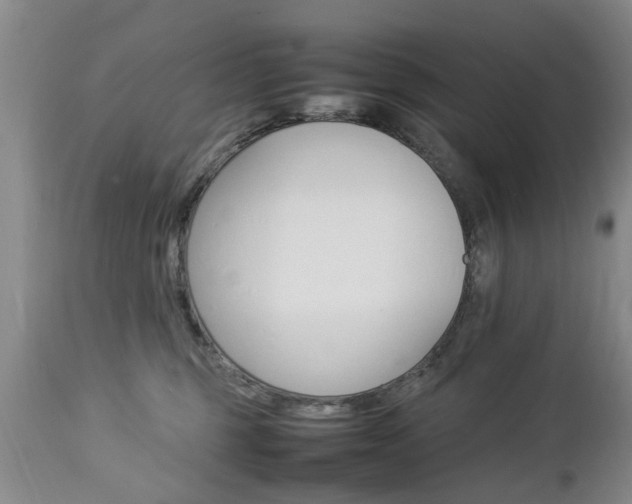 X0000112790375200908210945