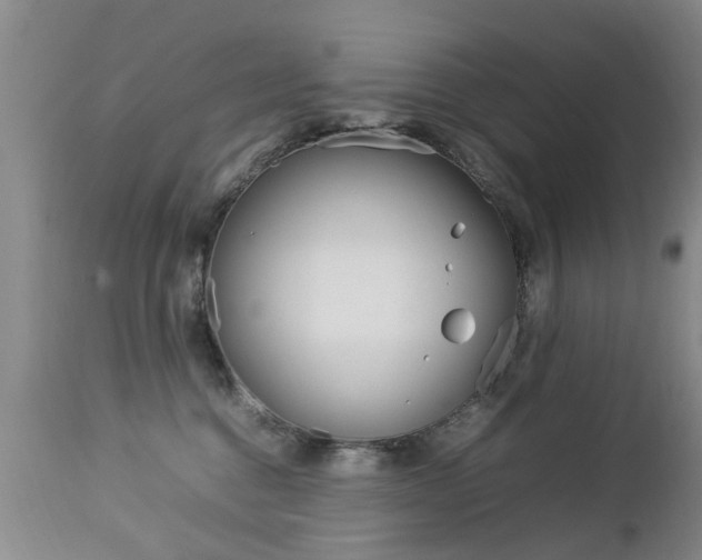 X0000112790376200908210945
