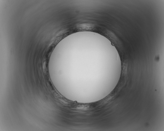 X0000112790377200908210945