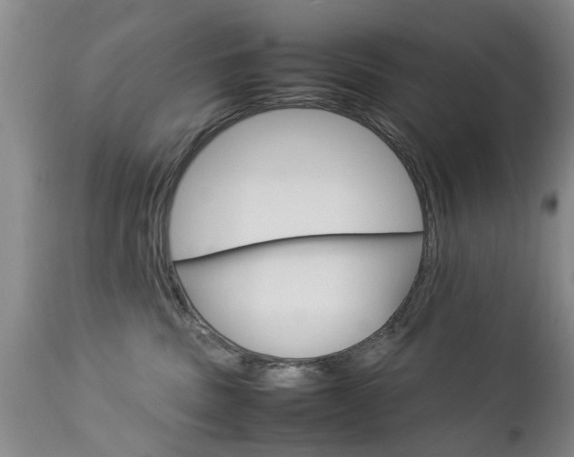 X0000112790379200908210945