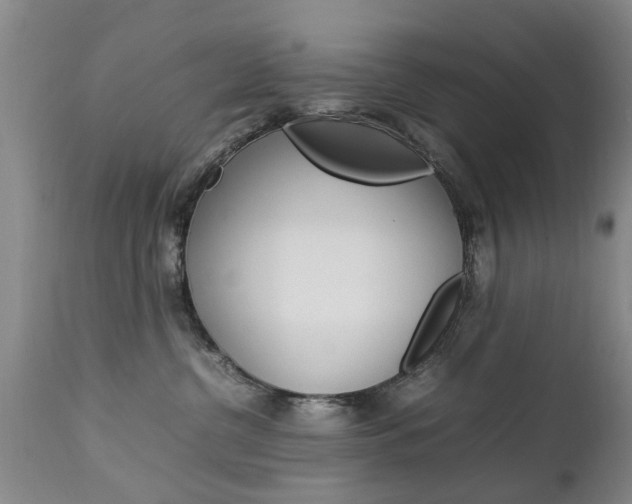 X0000112790380200908210945
