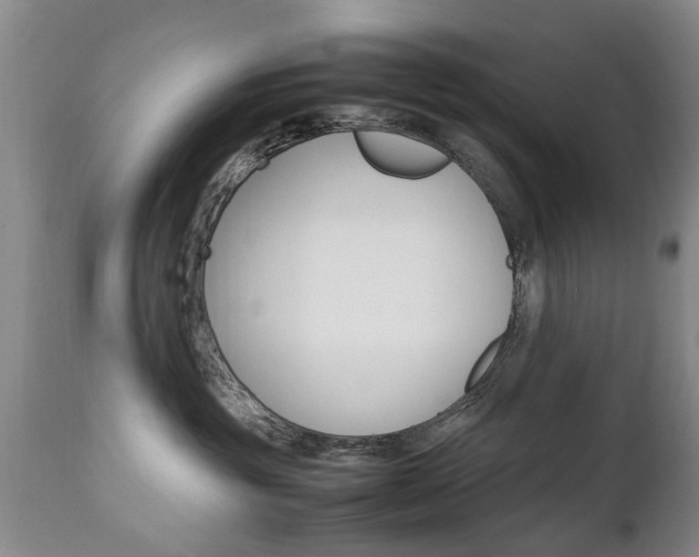 X0000112790381200908210945