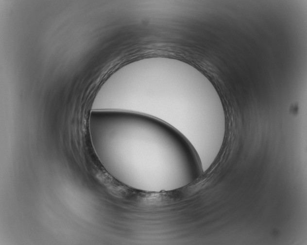 X0000112790382200908210945