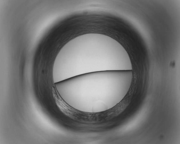 X0000112790383200908210945